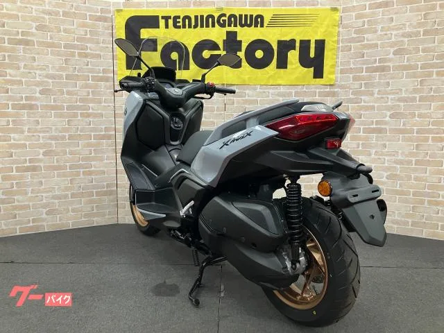 Yamaha X-MAX250 TFT 2025 — миниатюра 2