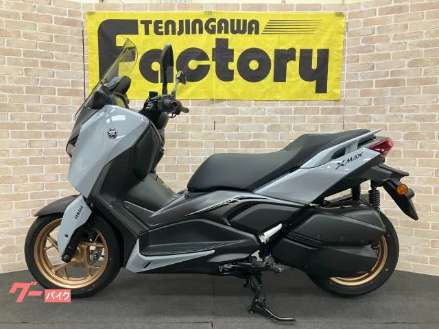 Yamaha X-MAX250 TFT 2025 — миниатюра 3