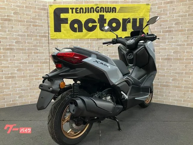 Yamaha X-MAX250 TFT 2025 — миниатюра 4