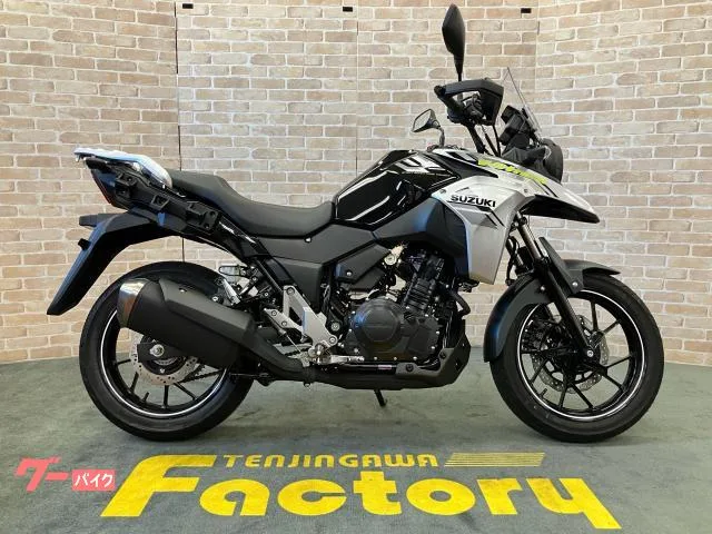 Suzuki V- 250 M4 2 DC 2024 — фото 1, купить с доставкой в Москву