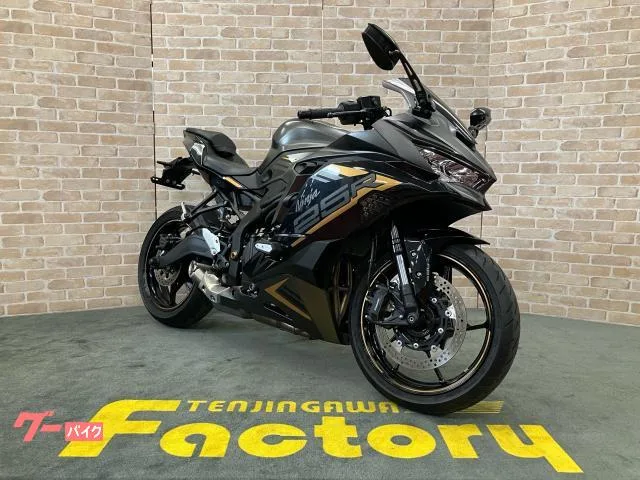 Kawasaki Ninja ZX-25R SE LED ETC USB 2022 — миниатюра 3