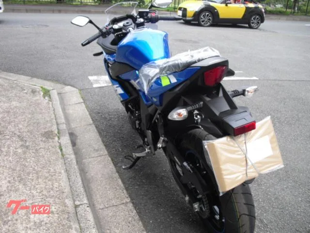 Suzuki GSX250R 2023 — миниатюра 4