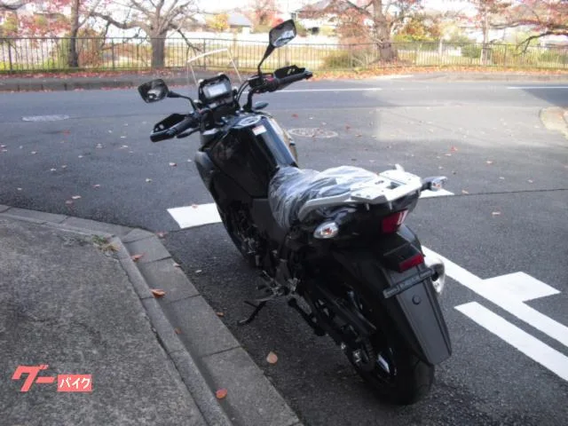 Suzuki V- 250 2024 — миниатюра 5