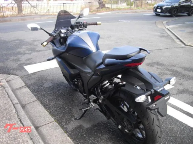 Suzuki GIXXER SF 250 2023 — миниатюра 2