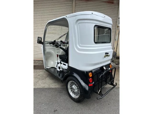 Trike AP 125 3 2024 — миниатюра 3