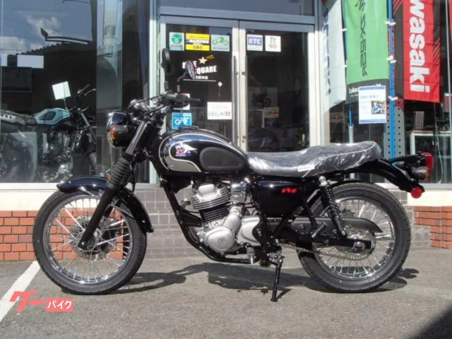 Kawasaki S1 2025 — миниатюра 2