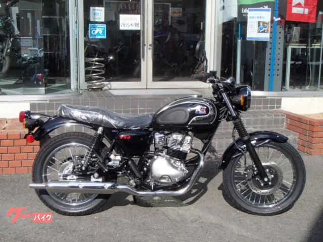 Kawasaki S1 2025 — фото 1, купить с доставкой в Москву