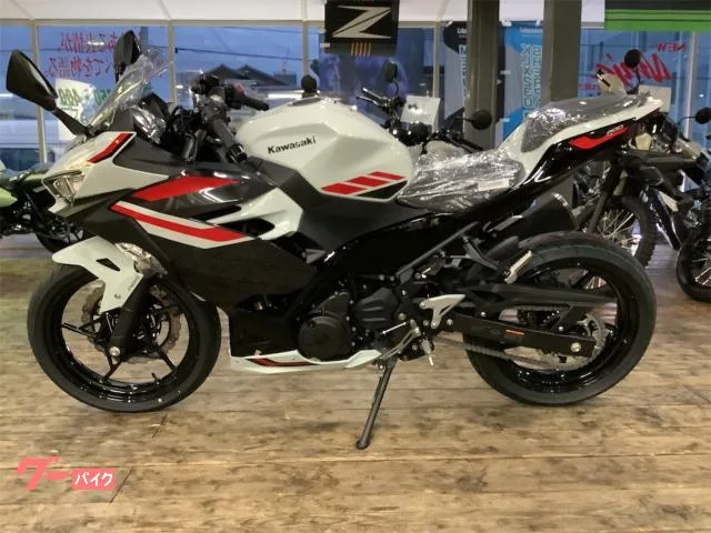 Kawasaki Ninja 400 2026 — миниатюра 4