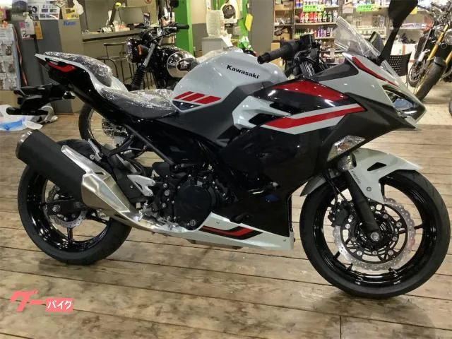 Kawasaki Ninja 400 2026 — миниатюра 5