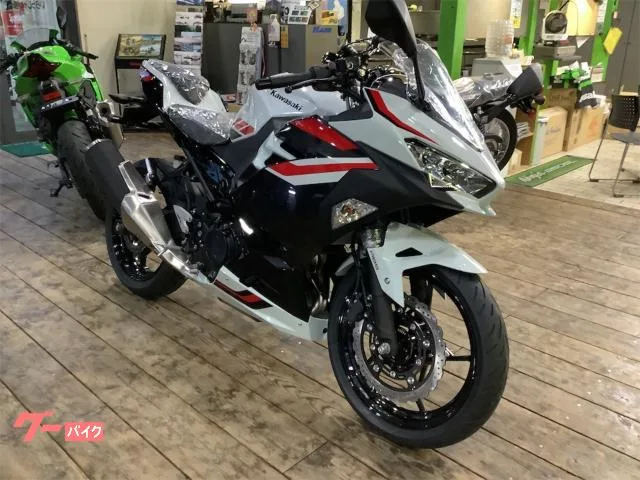 Kawasaki Ninja 400 2026 — фото 1, купить с доставкой в Москву
