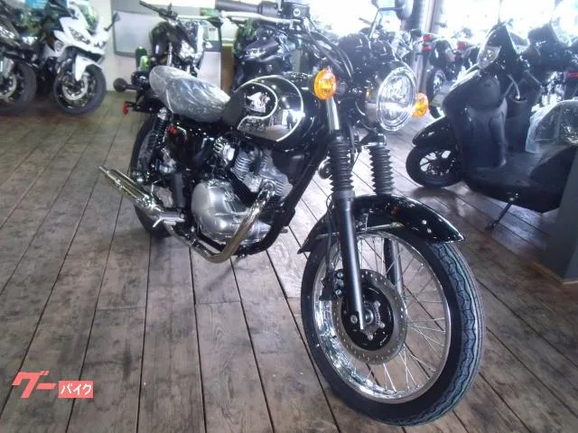Kawasaki S1 2026 — фото 1, купить с доставкой в Москву