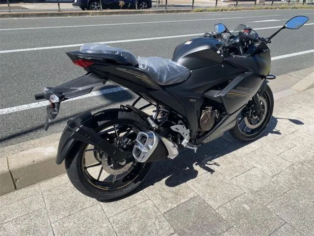 Suzuki GIXXER SF 250 2024 — миниатюра 3