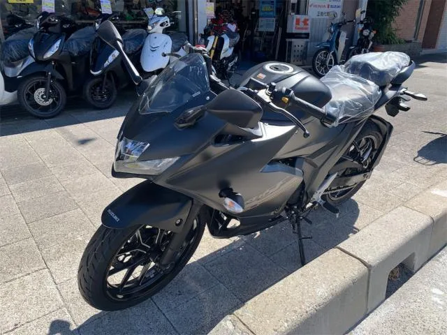 Suzuki GIXXER SF 250 2024 — миниатюра 4