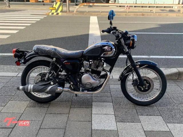 Kawasaki S1 2025 — фото 1, купить с доставкой в Москву