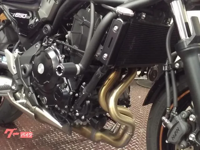Kawasaki Z650RS 2022 — миниатюра 2