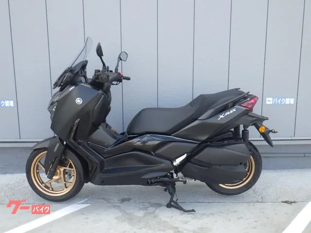 Yamaha X-MAX250 ETC 2023 — миниатюра 4
