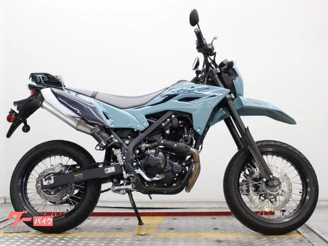 Kawasaki KLX230SM 1 ETC2.0 2025 — фото 1, купить с доставкой в Москву