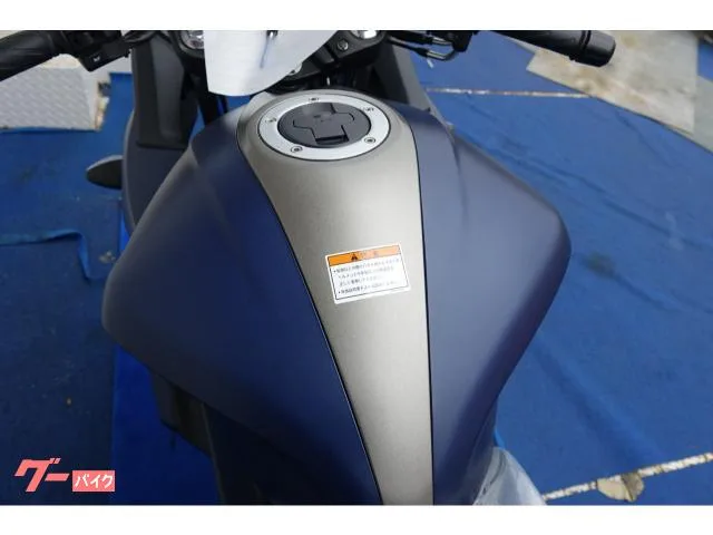 Suzuki GIXXER SF 250 ABS 2024 — миниатюра 2