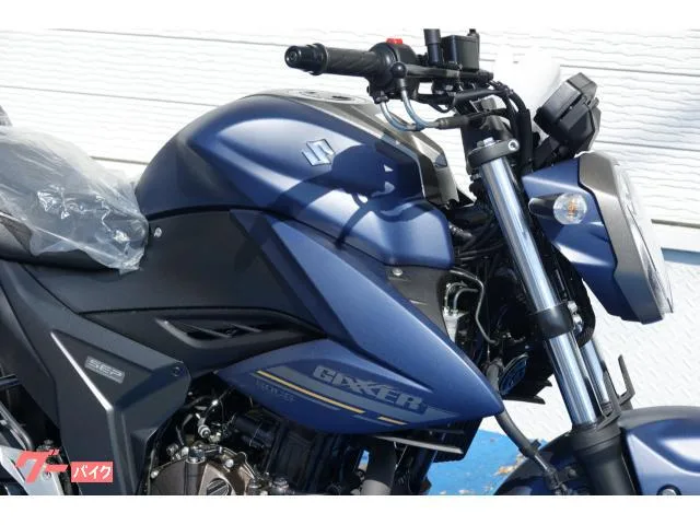 Suzuki GIXXER 250 ABS 2024 2024 — миниатюра 2