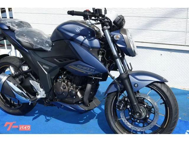 Suzuki GIXXER 250 ABS 2024 2024 — миниатюра 3