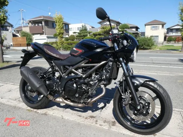 Suzuki SV650X 8BL-VP55E 2022 — фото 1, купить с доставкой в Москву