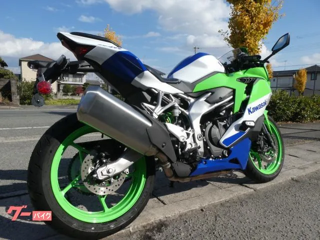 Kawasaki Ninja ZX-4RR 40 2024 — миниатюра 3