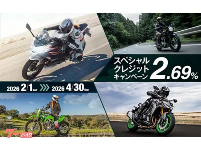 Kawasaki Ninja ZX-4RR 2025 — миниатюра 4