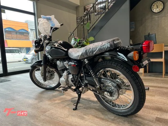 Kawasaki S1 2025 — миниатюра 2