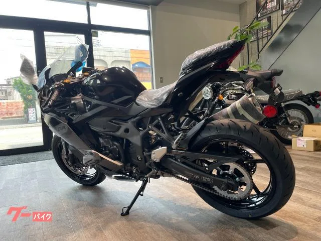 Kawasaki Ninja ZX-4R SE 2026 2026 — миниатюра 2
