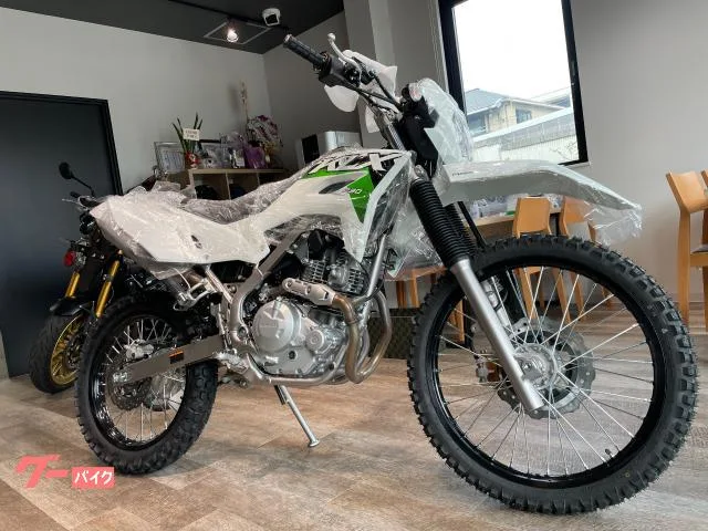 Kawasaki KLX230 S 2026 2026 — фото 1, купить с доставкой в Москву