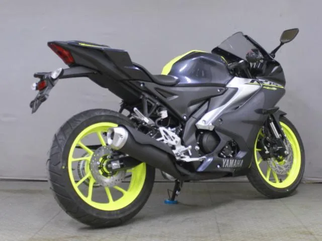 Yamaha YZF-R15 2023 — миниатюра 2