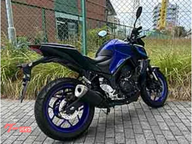 Yamaha MT-25 ABS 2022 — миниатюра 5