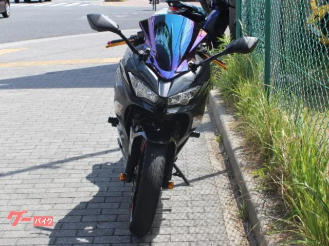 Kawasaki Ninja 250 ABS 2022 — миниатюра 3