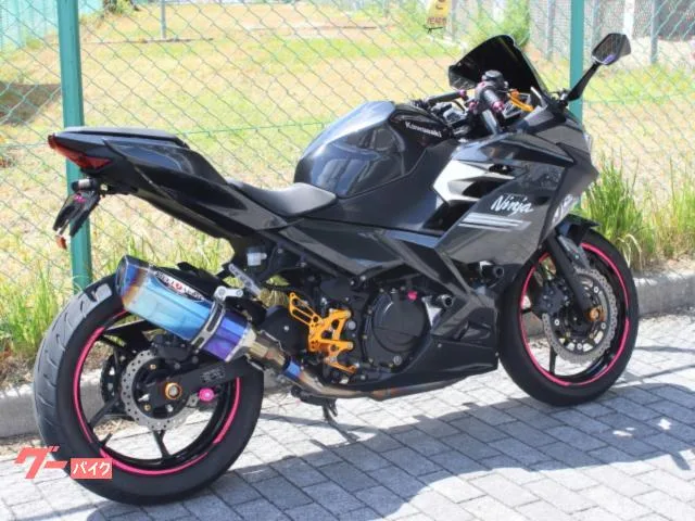 Kawasaki Ninja 250 ABS 2022 — миниатюра 5
