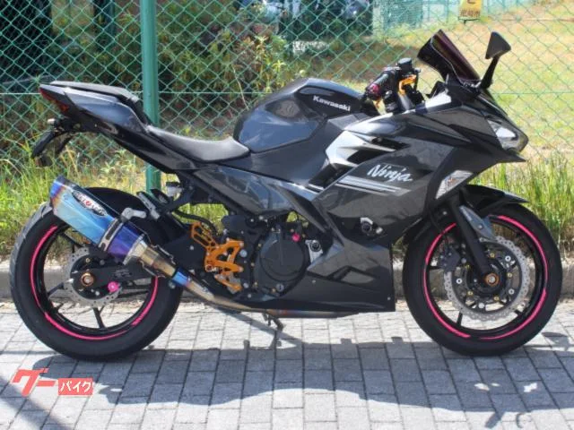 Kawasaki Ninja 250 ABS 2022 — фото 1, купить с доставкой в Москву
