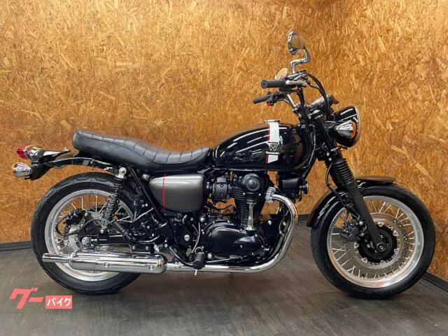 Kawasaki W800 ETC2.0 2022 — фото 1, купить с доставкой в Москву