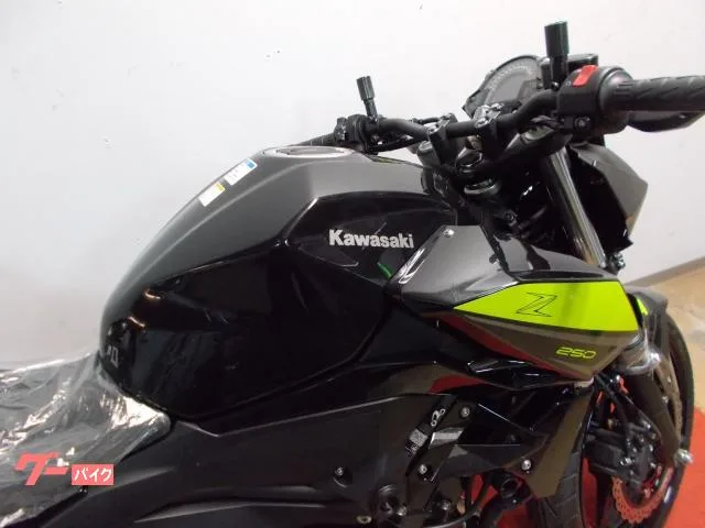 Kawasaki Z250 2022 — миниатюра 2