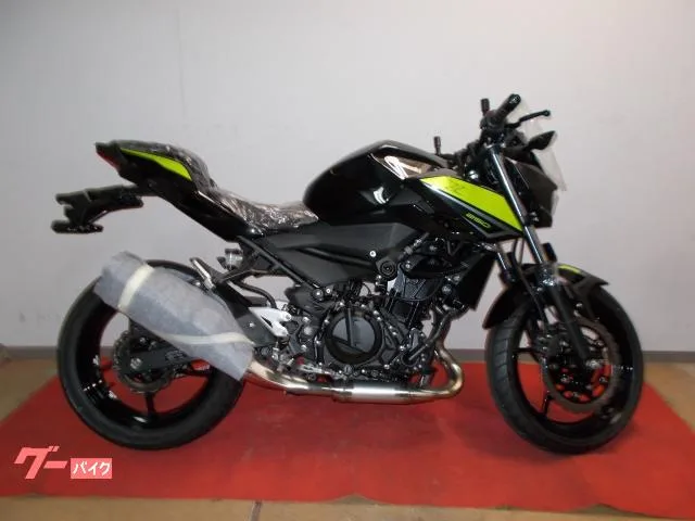 Kawasaki Z250 2022 — фото 1, купить с доставкой в Москву