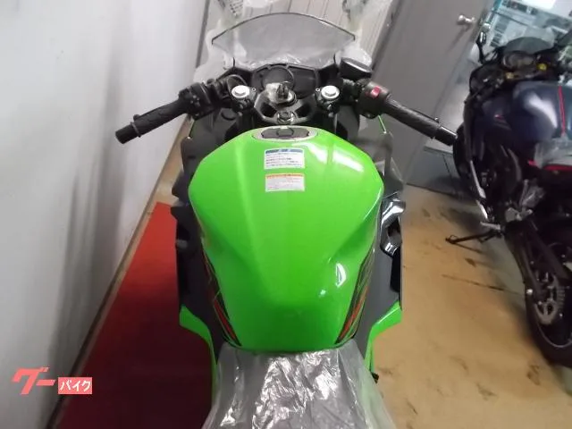 Kawasaki Ninja 250 2024 — миниатюра 2