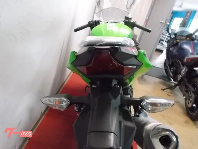 Kawasaki Ninja 250 2024 — миниатюра 4