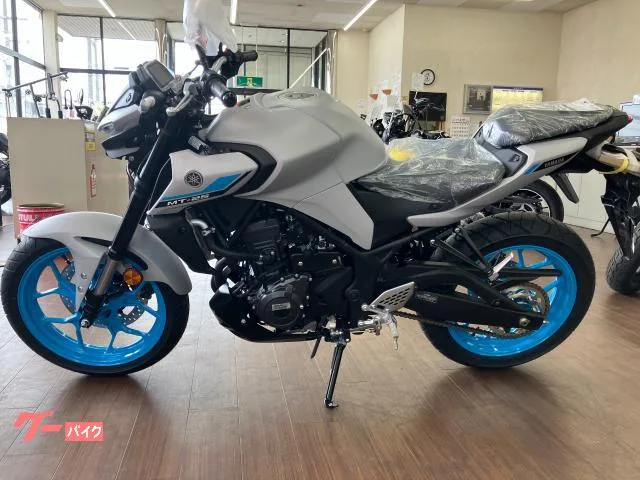 Yamaha MT-25 2025 — миниатюра 2