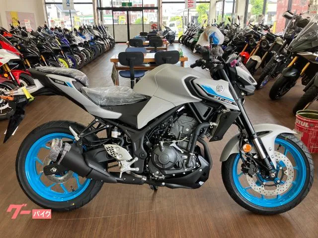 Yamaha MT-25 2025 — фото 1, купить с доставкой в Москву