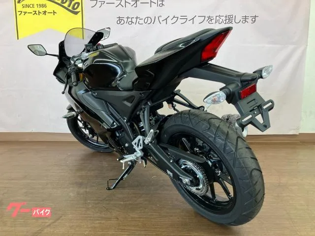 Yamaha YZF-R15 2023 — миниатюра 2