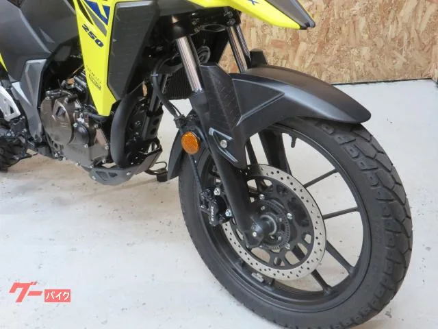 Suzuki V- 250SX 2025 — миниатюра 3