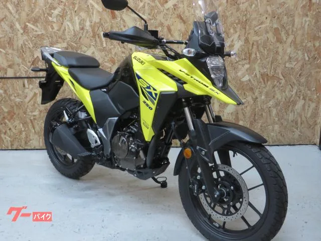 Suzuki V- 250SX 2025 — фото 1, купить с доставкой в Москву