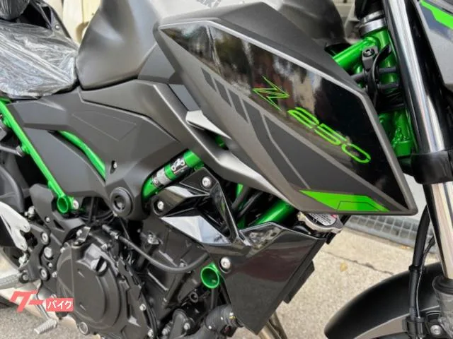 Kawasaki Z250 2025 — миниатюра 2