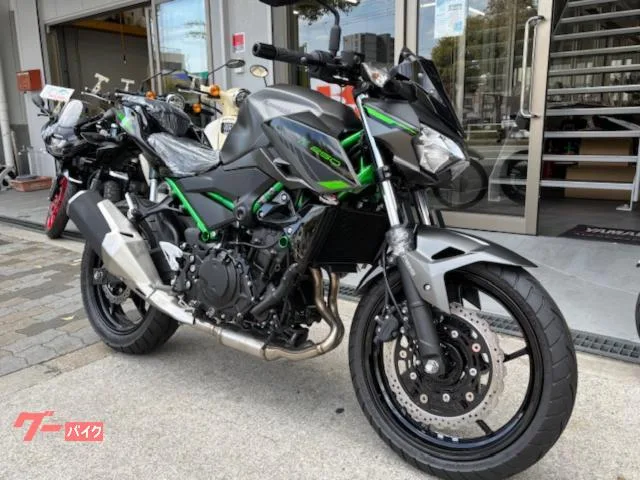 Kawasaki Z250 2025 — миниатюра 4