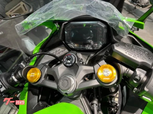 Kawasaki Ninja ZX-4RR 2026 2026 — миниатюра 3