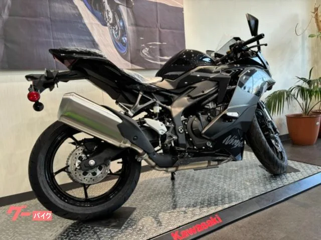 Kawasaki Ninja ZX-4R SE 2026 2026 — миниатюра 2