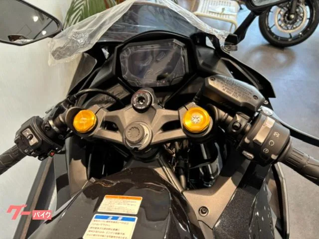 Kawasaki Ninja ZX-4R SE 2026 2026 — миниатюра 3